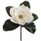 Timeless Grace: Beautiful 15" Magnolia Pick, 8" Diameter, White (6-Pack) for Delicate Floral Creations, Floral Home by Artificial Flowers